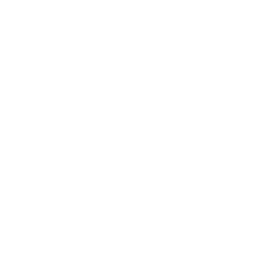 Bruce Ryba